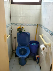 Blk 1 Ghim Moh Green (Queenstown), HDB 3 Rooms #630665981